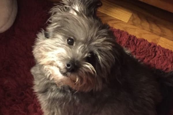 Kansas City, Missouri, United States