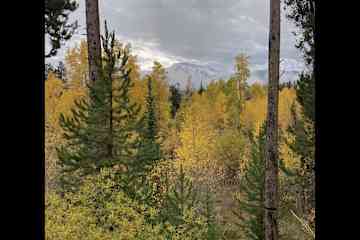 Fraser,Colorado,United States