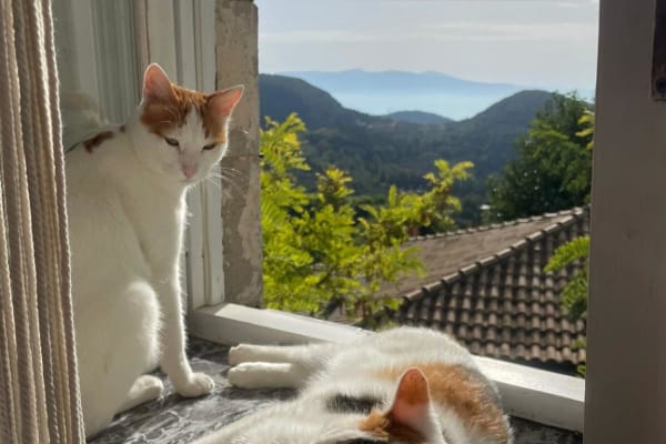 Lazaráta, Ionian Islands, Greece