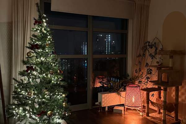 Amsterdam, North Holland, Netherlands