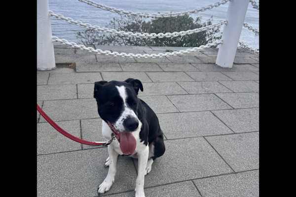 Hoboken, New Jersey, United States