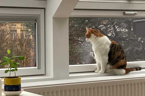 Brussels, Brussels Capital, Belgium