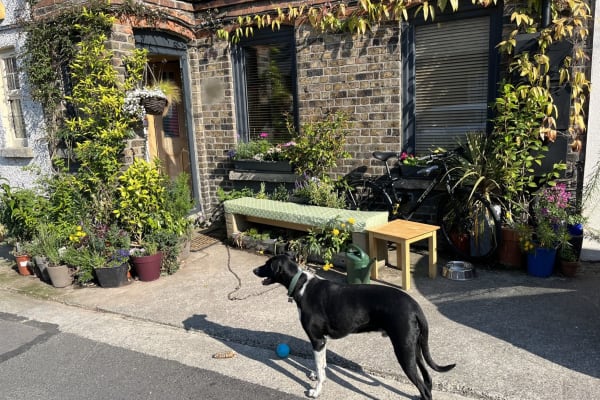 Dublin, Leinster, Ireland