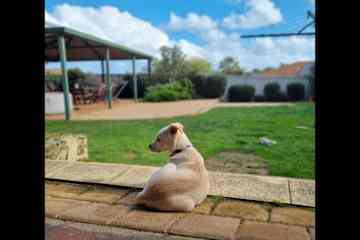 Joondalup,Western Australia,Australia