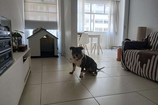 Rio de Janeiro, Rio de Janeiro, Brazil