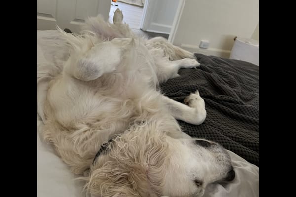 Portland, Oregon, United States