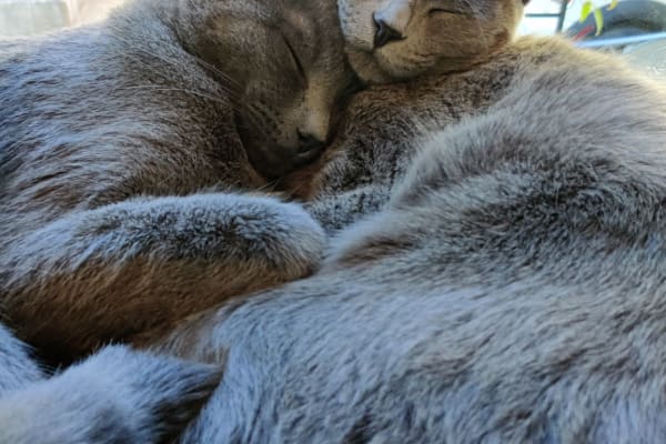 Portland, Oregon, United States