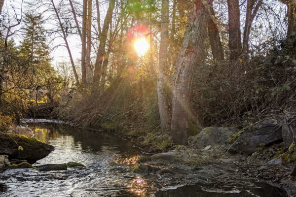 Grants Pass, Oregon, United States