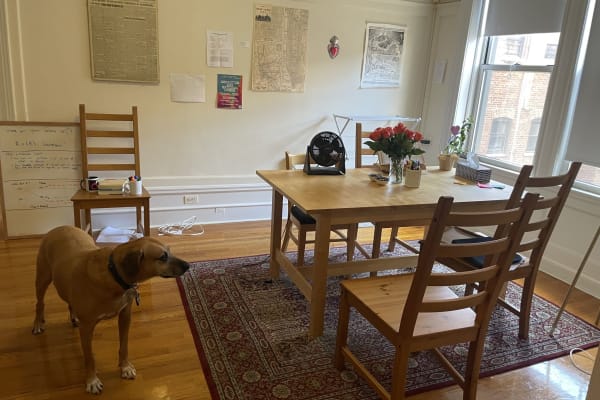 New York City, New York, United States