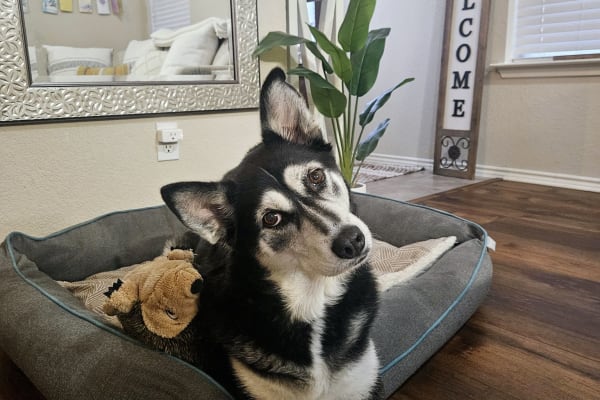 Austin, Texas, United States