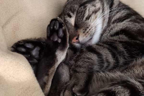 Portland, Oregon, United States