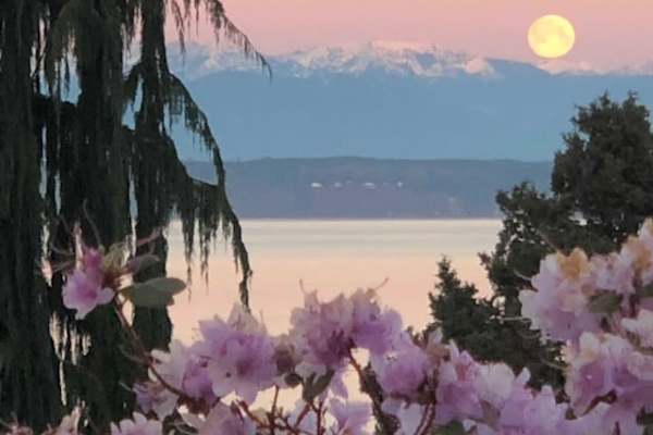 Edmonds, Washington, United States