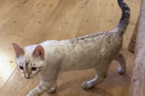 London, England, United Kingdom