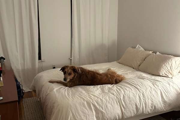 Brooklyn, New York, United States