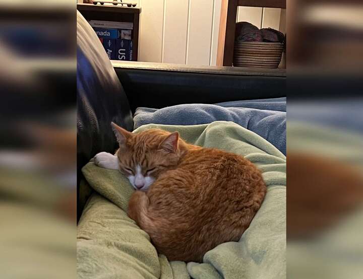 Tarragindi, Queensland, Australia