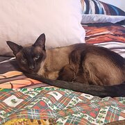 Lake Haven, New South Wales, Australia