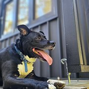 Bulli, New South Wales, Australia