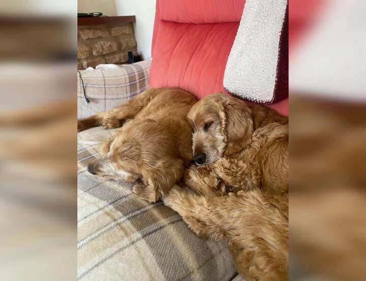 Melksham, England, United Kingdom