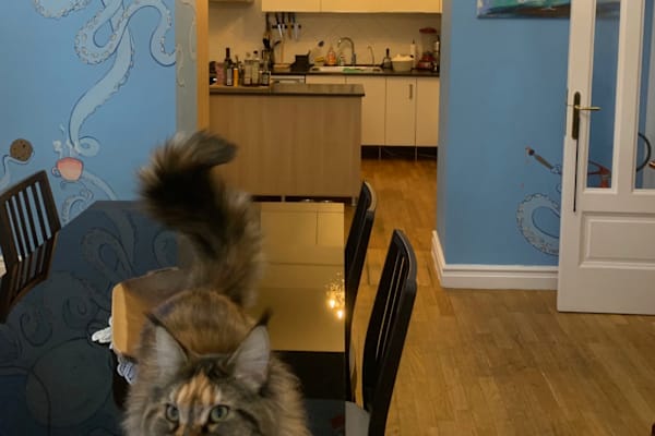 Bucharest, Bucuresti, Romania