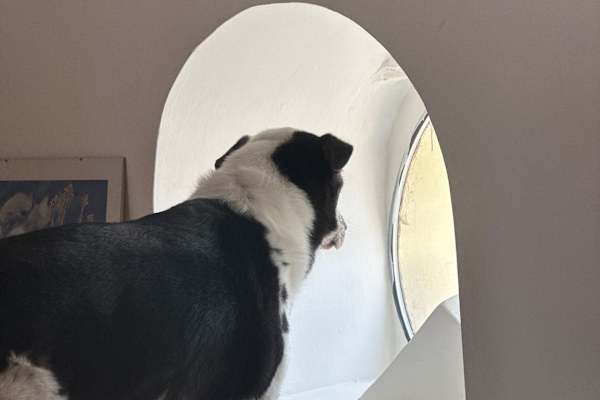 Zemun, Central Serbia, Serbia