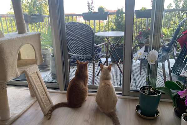 Bethesda, Maryland, United States