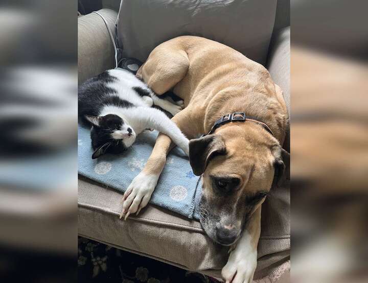 Guysville, Ohio, United States