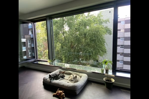 Hamburg, Hamburg, Germany