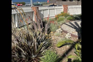 Playa del Rey,California,United States