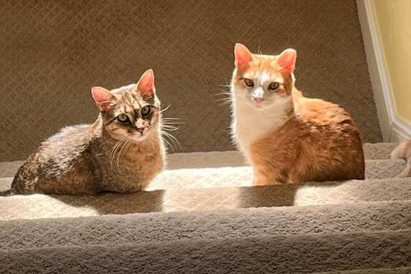 Pittsburgh, Pennsylvania, United States