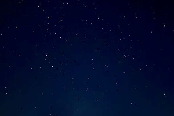 Hohenwald, Tennessee, United States