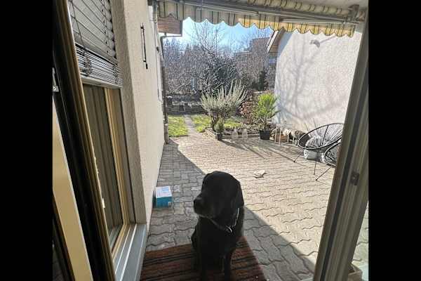 Illnau, Zurich, Switzerland