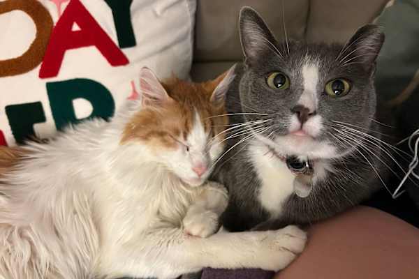 Montréal, Quebec, Canada