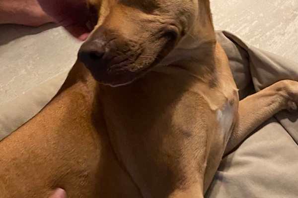 Brisbane, Queensland, Australia