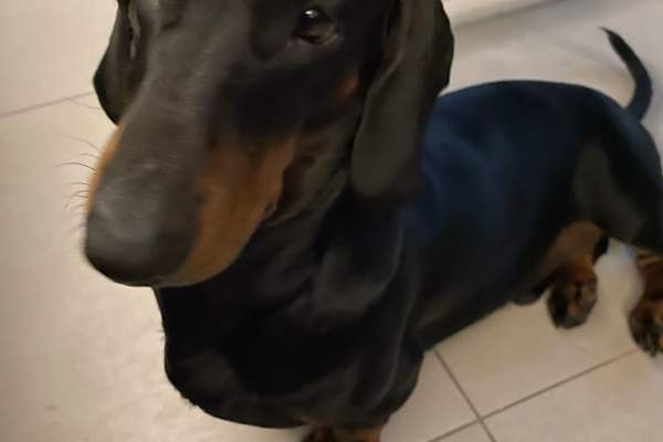 Playa del Carmen, Quintana Roo, Mexico