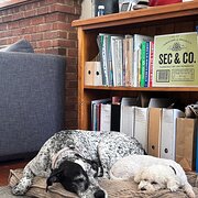 Coniston, New South Wales, Australia