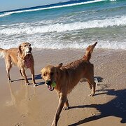 Hawks Nest, New South Wales, Australia