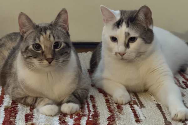 McCall, Idaho, United States