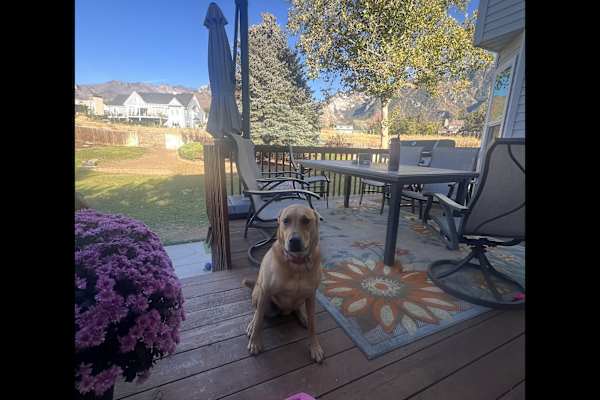 Sandy City, Utah, United States