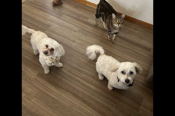 Chicago, Illinois, United States