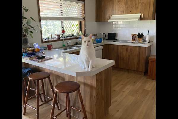 Canberra, Australian Capital Territory, Australia