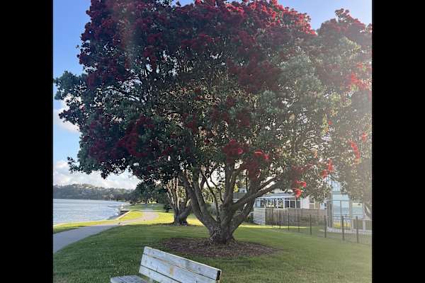 Snells Beach, Auckland, New Zealand