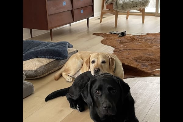 Reston, Virginia, United States