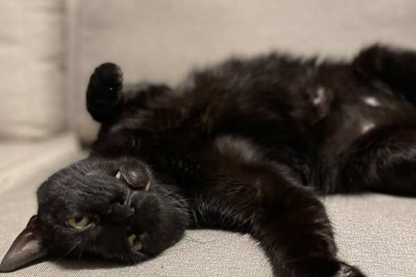 Paris, Ile-de-France, France