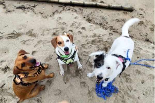 Pedasí, Los Santos, Panama