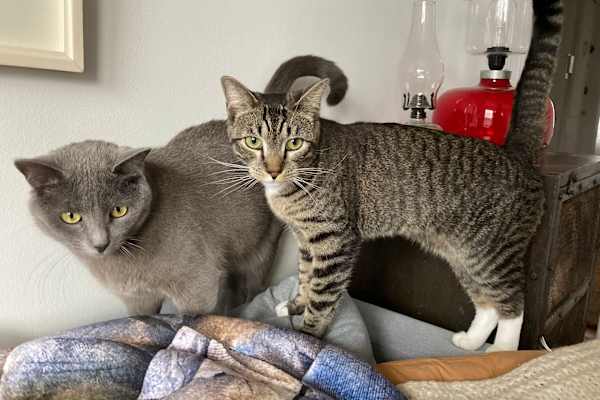 Brooklyn, New York, United States