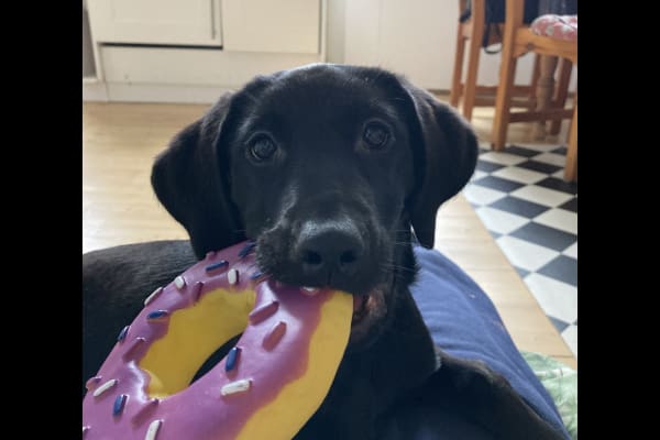 Edinburgh, Scotland, United Kingdom