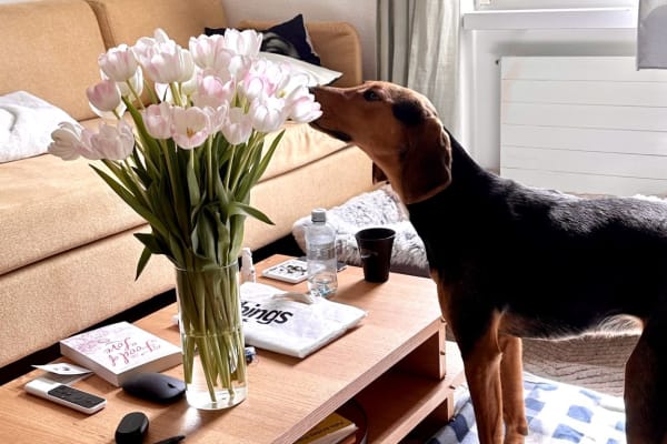 Zürich, Zurich, Switzerland