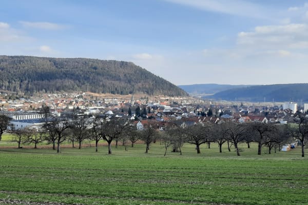Tuttlingen, Baden-Wuerttemberg, Germany
