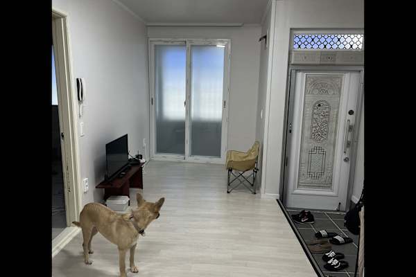 Busan, Busan, South Korea