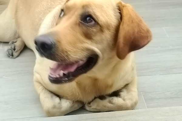 Singapore, Central Singapore, Singapore